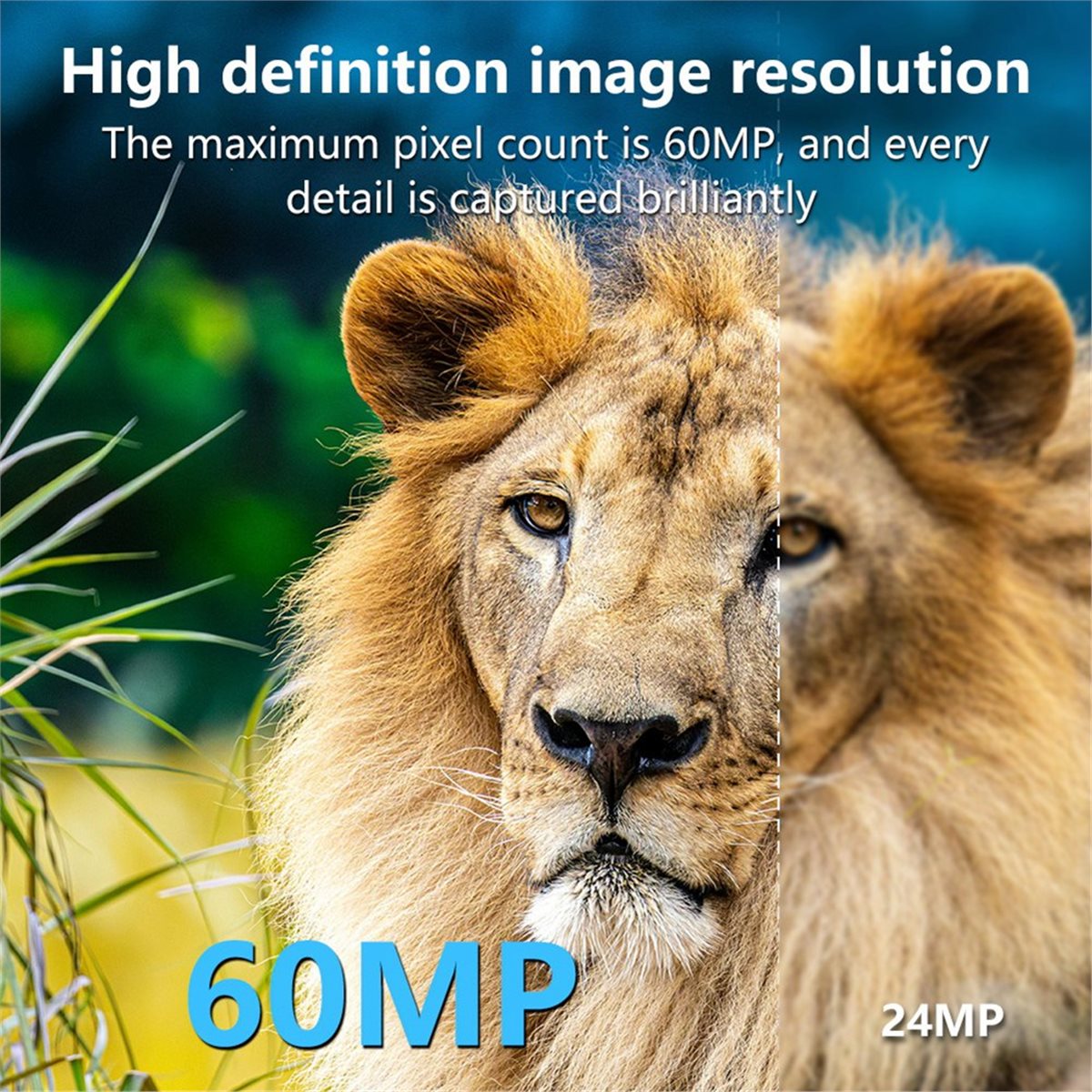 Outdoor Hunting Camera Wifi - Kamera Berburu AS62 8K HD, Monitor