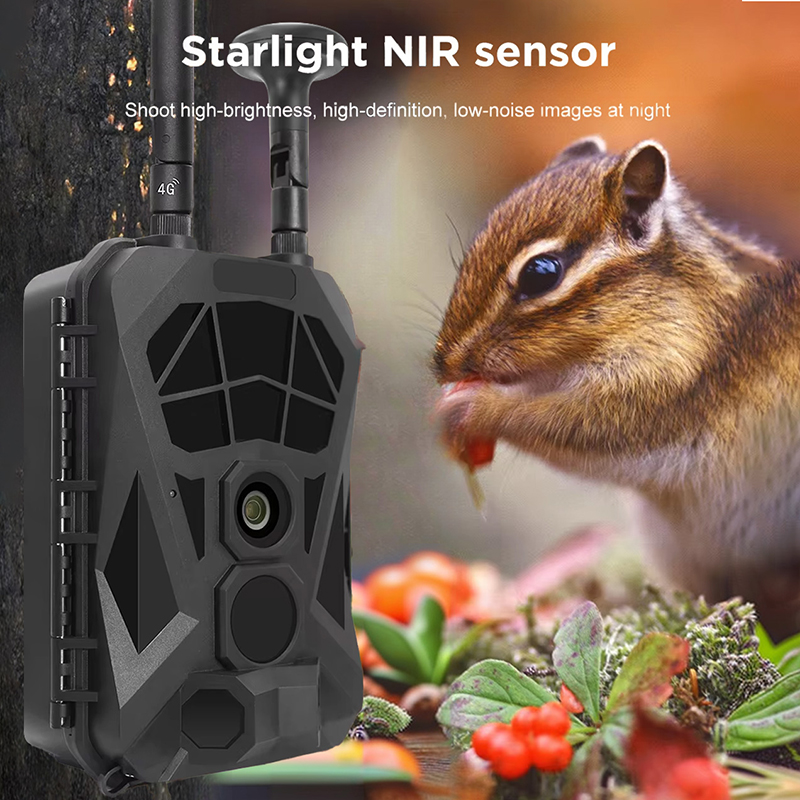 Outdoor Hunting Camera Wireless - Kamera Trail 4G GPS nirkabel, kamera
