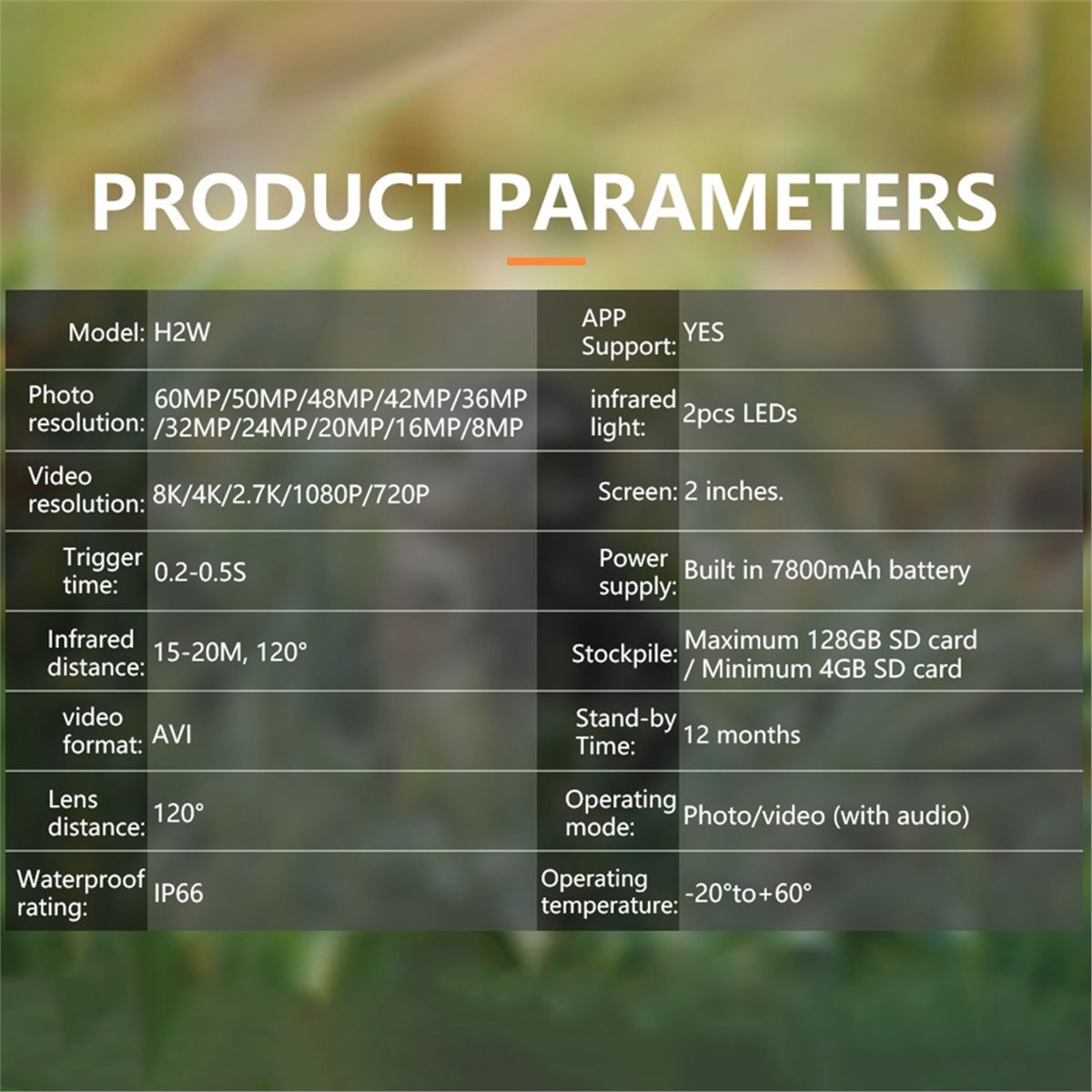Kamera Berburu AS62 8K HD, Mon - Outdoor Hunting Camera Wifi ulasan dan harga