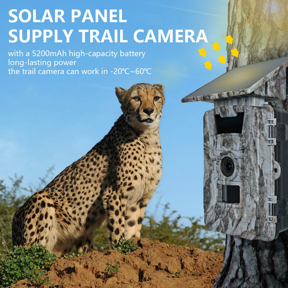 Kamera Berburu Solar WiFi 4K 6 - Outdoor Hunting Camera Wifi ulasan dan harga