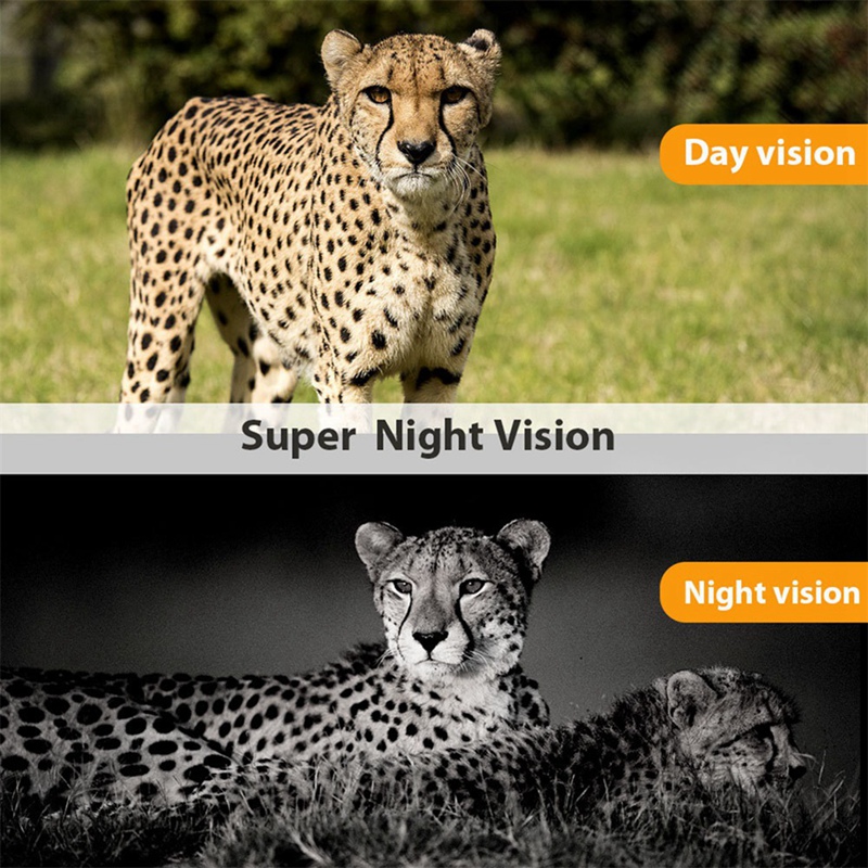 Kamera Pemantau Gerakan Malam  - Outdoor Hunting Camera Wireless ulasan dan harga