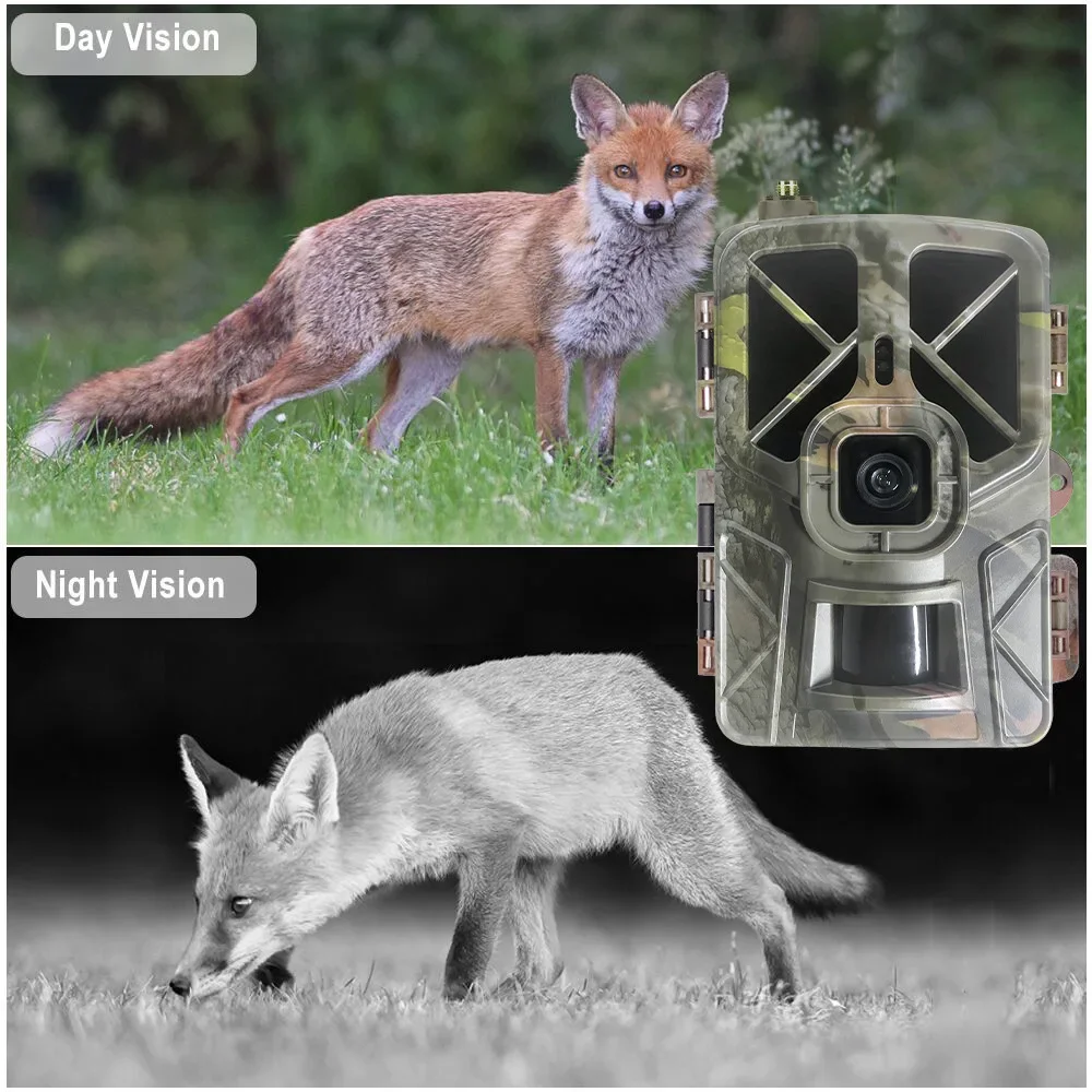 HC-935Pro 2K Kamera Berburu Ap - Outdoor Hunting Camera Wireless ulasan dan harga