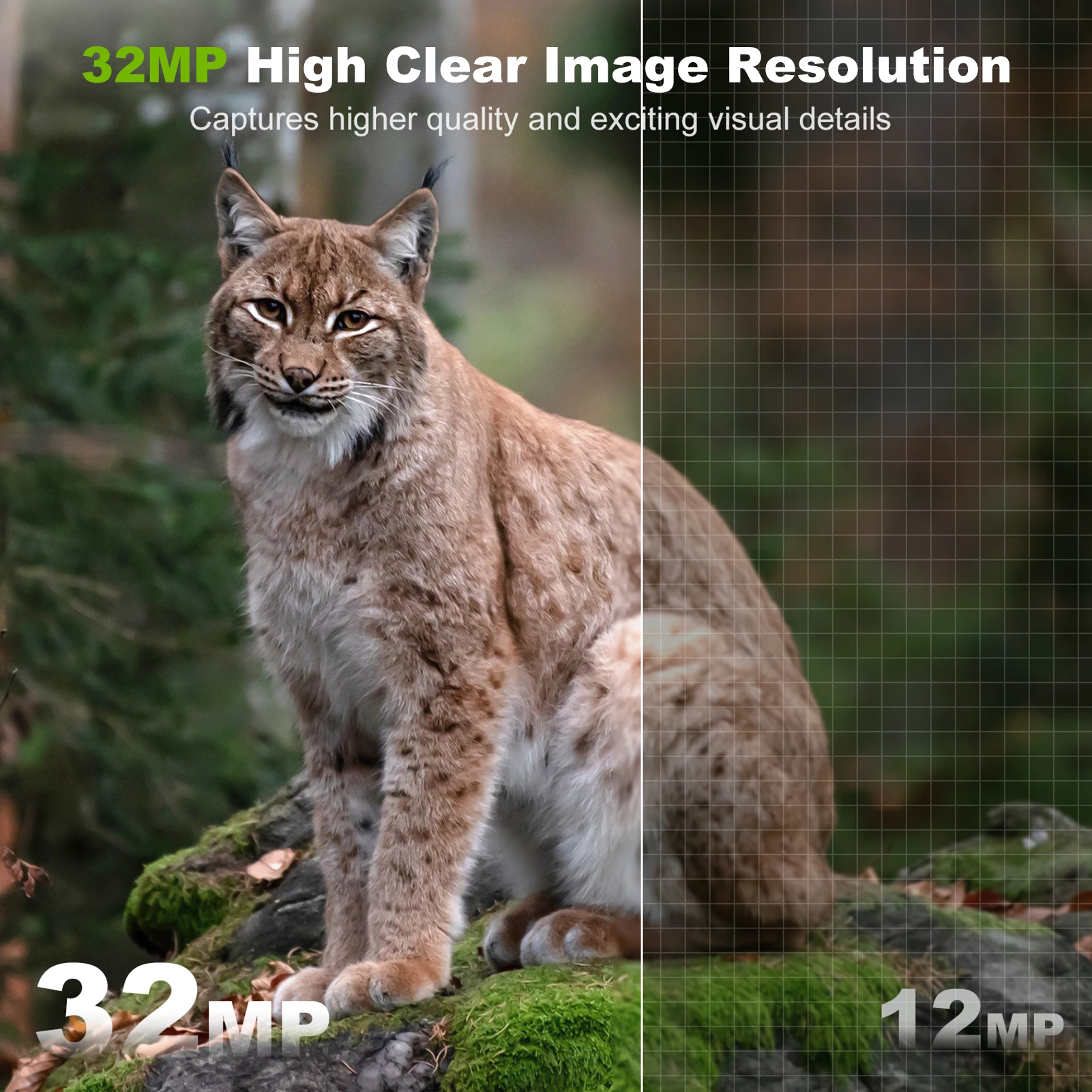 Kamera Surya Luar Ruangan Kame - Outdoor Hunting Camera Wireless ulasan dan harga